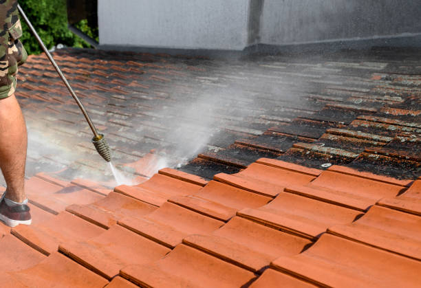 Best Pressure Washing Company Near Me  in Ly Lake, IL