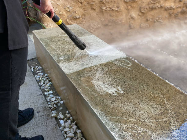 Best Deck Cleaning Services  in Ly Lake, IL