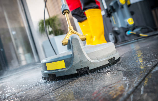 Best Exterior Home Cleaning  in Ly Lake, IL