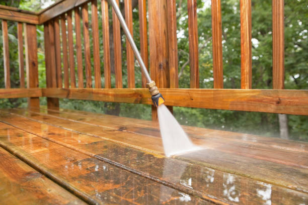 Best Affordable Pressure Washing  in Ly Lake, IL